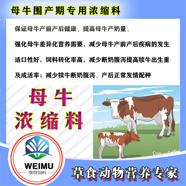 母牛浓缩饲料